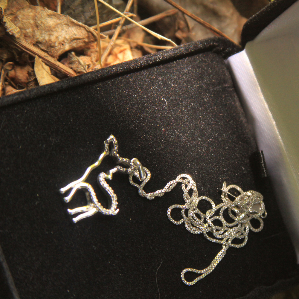 Chip Black Diamond Pendant Silver